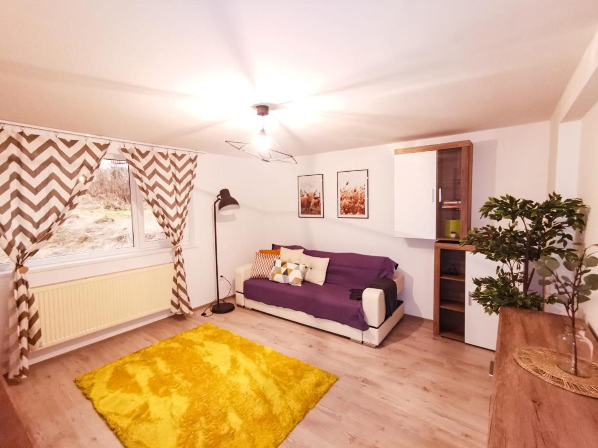 105500 Apartment Buşteni Eksteriør bilde