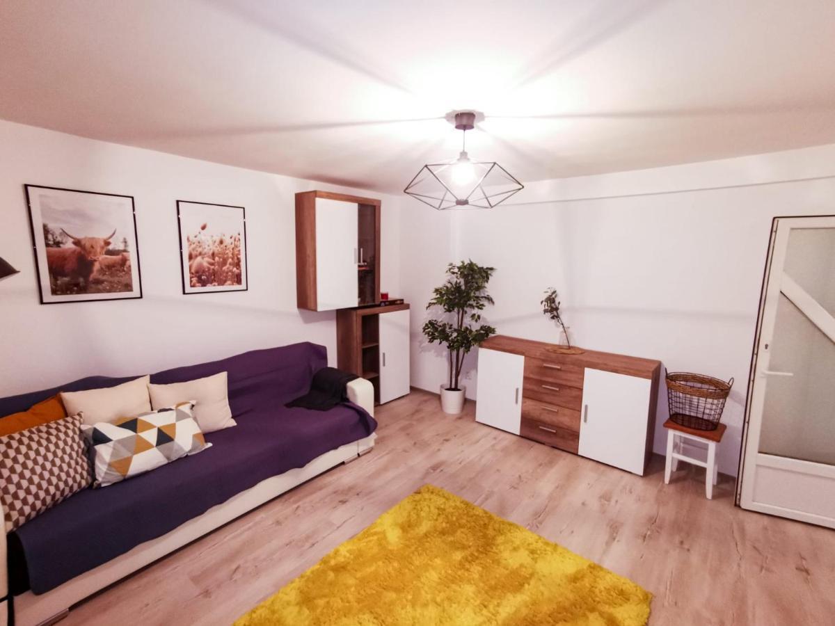 105500 Apartment Buşteni Eksteriør bilde